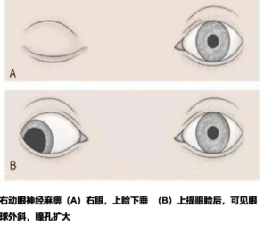 企业微信截图_17773647178760.png