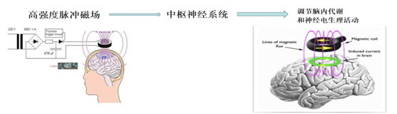 企业微信截图_17891112139724.png
